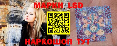 дживик Новозыбков