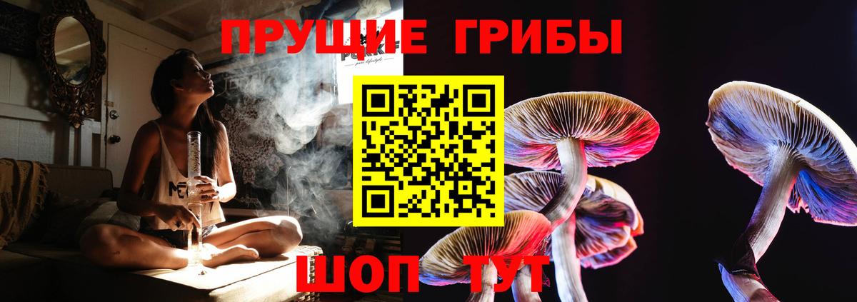 Псилоцибиновые грибы GOLDEN TEACHER  Галлюциногенные грибы MAGIC MUSHROOMS  Вход с VPN  Сатка 